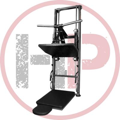 Жим ногами пристенный  ProfiGym-ТД-0310-D